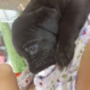 Meet your Posher, Ayns